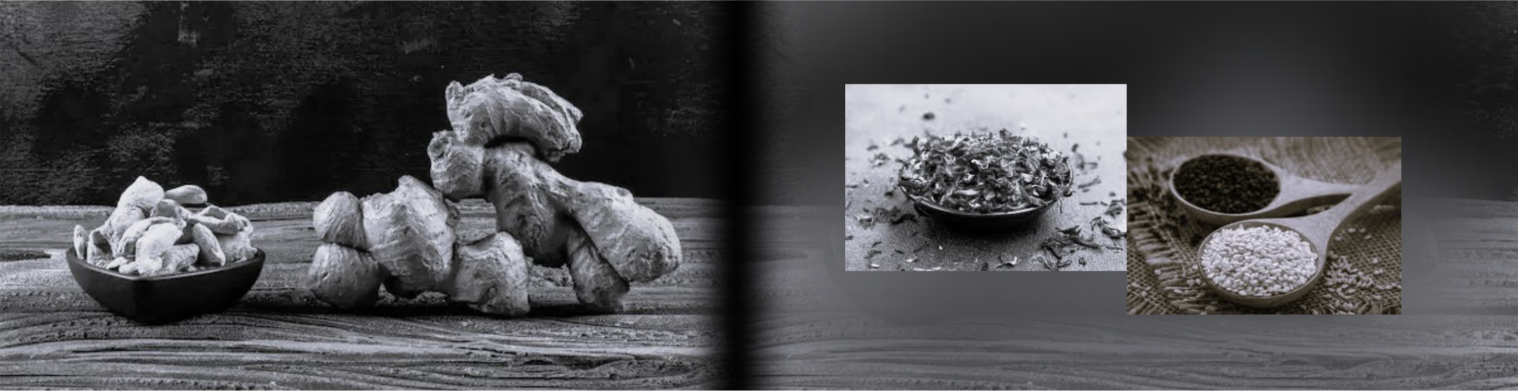 Agro commodity trading and agri-tech solutions