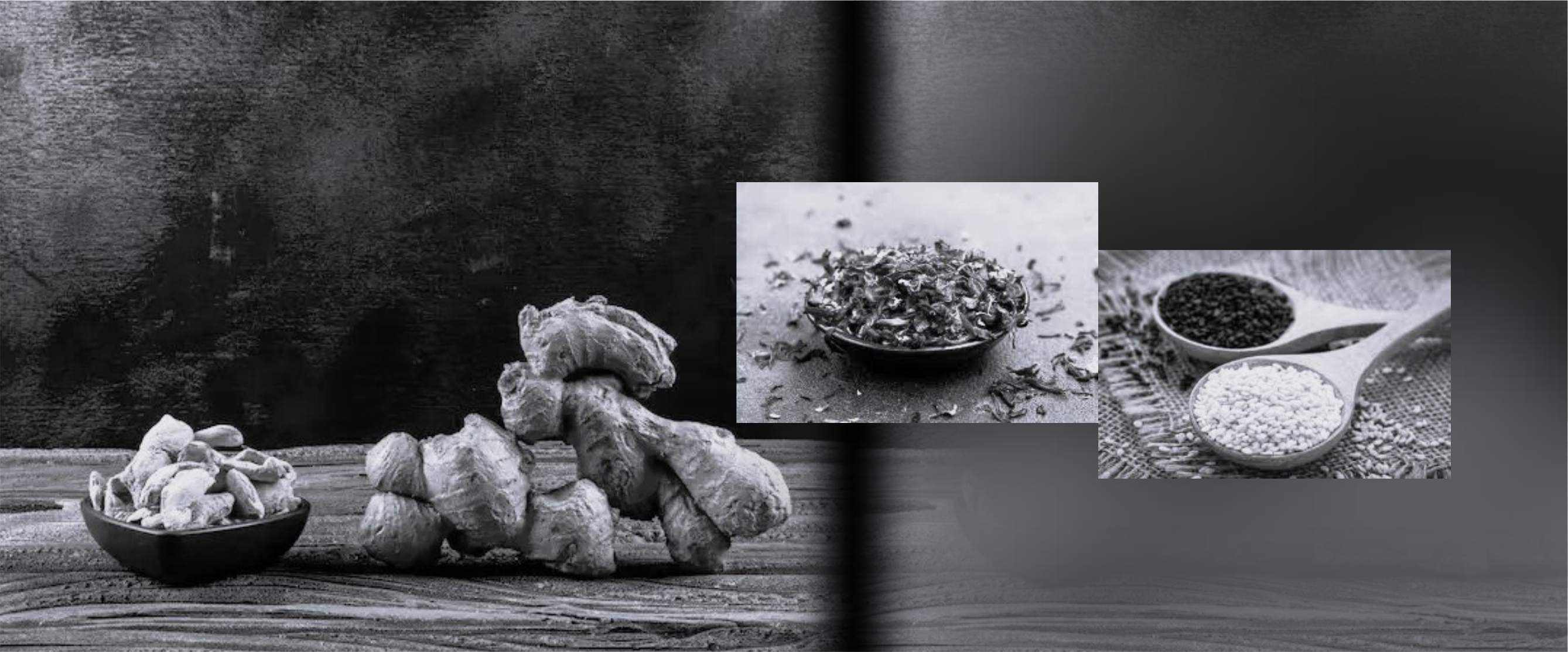 Agro commodity trading and agri-tech solutions